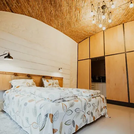 K In Hitoric Centre Κλουζ-Ναπόκα